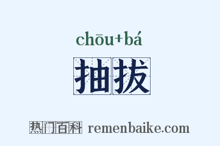 抽拔是什么意思的图片